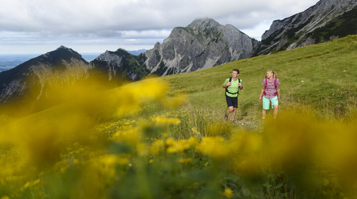 Wanderer im Frühling gehen über eine blühende Wise | © DAV / Wolfgang Ehn